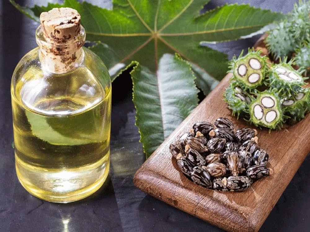 introduction of castor oil